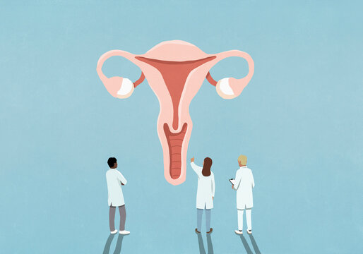 Doctors examining and discussing female reproductive system

