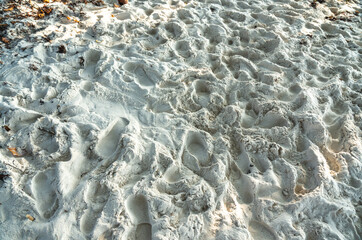 Close-up of white coral beach sand with footprints and soft shadows under tropical sunlight