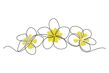 Continuous single-line art drawing of plumeria flowers. Decorative plumeria flowers line art background