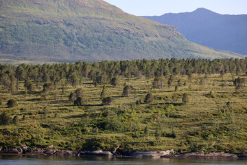 Fantastic coastal landscape in the Troms region of Northern Norway 