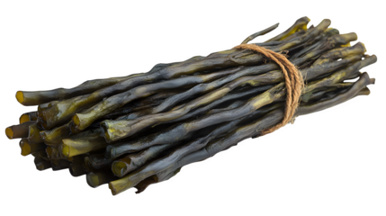 Bundle of dried seaweed strands with fine detail, isolated on white background