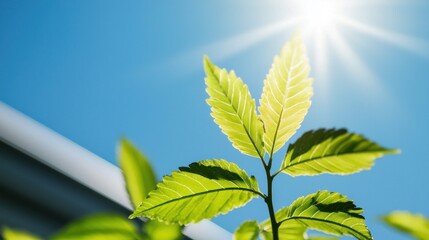 Global collaboration to address climate change sustainable design initiatives for a climate-neutral future