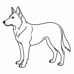 German Shepherd Dog Line Art Drawing Canine Breed Illustration White Background