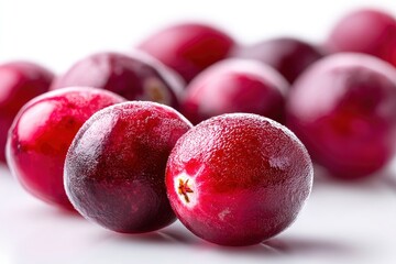 Cranberry Fruit Still Life