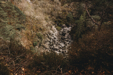 Rocky woodland stream flowing through natural forest landscape