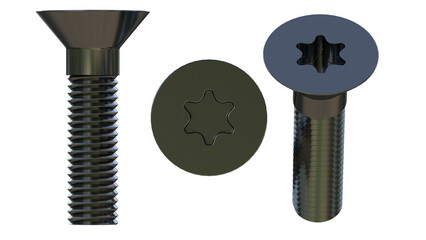 torx screw