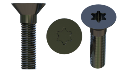 torx screw