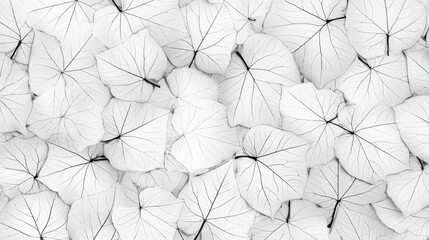 A collection of white leaves with black veins, arranged in a dense pattern.