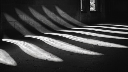 Light and Shadow