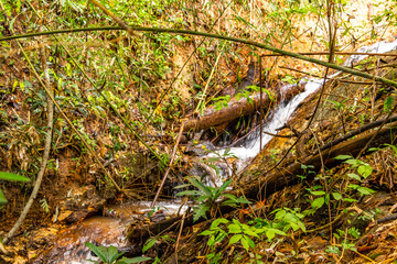 Beautiful waterfall river in tropical nature jungle Chiang Mai Thailand.