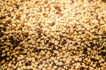 Whole hazelnut isolated on white background – organic nut, healthy snack, natural food ingredient