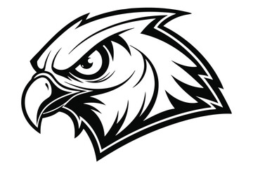 Fierce Eagle Head in Black and White with Sharp Details and Intimidating Gaze