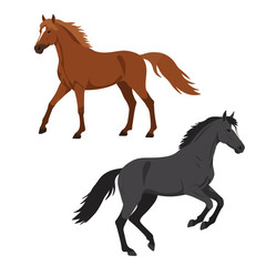 Horse isolated set hand drawn vector stock illustration