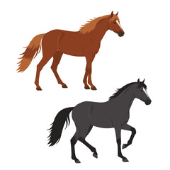 Horse isolated set hand drawn vector stock illustration