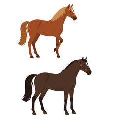 Horse isolated set hand drawn vector stock illustration