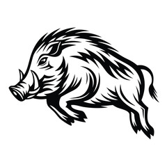 Black and White Wild Boar Jumping, Running, Fierce Animal, Mammal,