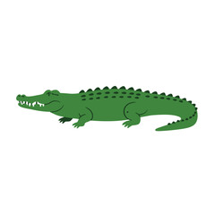 Crocodile. vector illustration of deer in cartoon flat style. Male or female deer wild life animal isolated in white background. Cute different poses deer with long horns for logo, icon, infographic, 