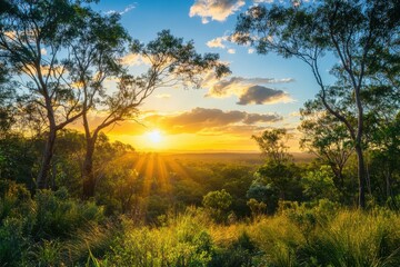 Fototapeta premium Breathtaking sunset over the wild nature of Australia's Northern Territory reflecting vibrant colors, Australia Northern Territory sunset in wild nature landscape Bush forest view