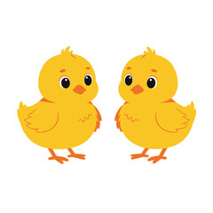 Two cute little chicken are standing together on white background. Concept of newborn chicken on white background. Flat cartoon vector illustration isolated on white background
