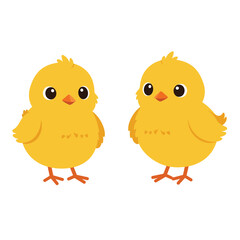 Two cute little chicken are standing together on white background. Concept of newborn chicken on white background. Flat cartoon vector illustration isolated on white background
