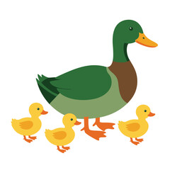 Duck vector illustration of deer in cartoon flat style. Male or female deer wild life animal isolated in white background. Cute different poses deer with long horns for logo, icon, infographic, symbol