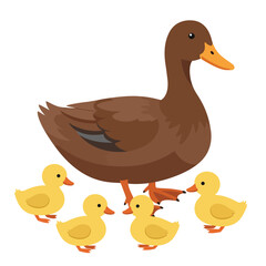 Duck vector illustration of deer in cartoon flat style. Male or female deer wild life animal isolated in white background. Cute different poses deer with long horns for logo, icon, infographic, symbol