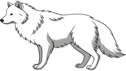 Samoyed Line Drawing Isolated on White Background Vector