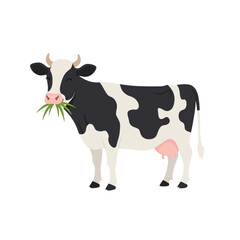 Cow vector illustration of deer in cartoon flat style. Male or female deer wild life animal isolated in white background. Cute different poses deer with long horns for logo, icon, infographic, symbol
