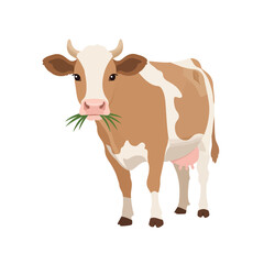 Cow vector illustration of deer in cartoon flat style. Male or female deer wild life animal isolated in white background. Cute different poses deer with long horns for logo, icon, infographic, symbol
