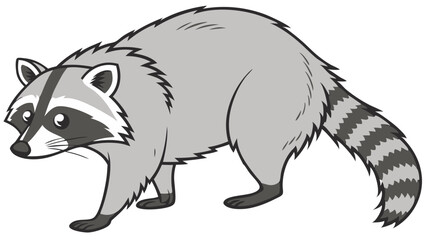 Obraz premium Raccoon Line Drawing Isolated on White Background Vector