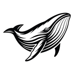 Striking Black & White Whale Illustration, Ocean Wildlife, Marine Animal