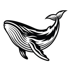 Stylized Black & White Humpback Whale Isolated on White Background