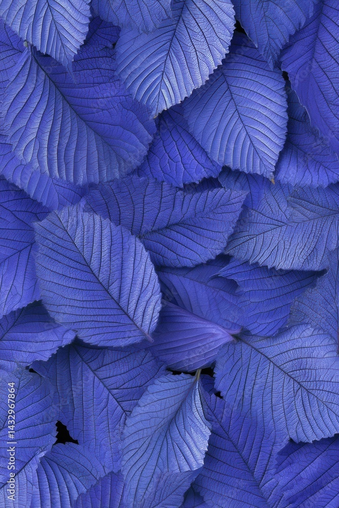 Poster abstract botanical background featuring overlapping blue leaves with intricate vein patterns and a c