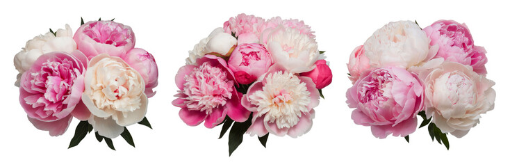 pink and white peony bouquets isolated on white background