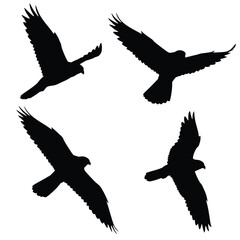 Flying birds silhouettes isolated on white background, vector. Set of flying birds, illustration.