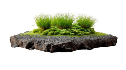 Fototapeta premium Small Garden Oasis: A tranquil miniature garden, a slice of natural beauty, with vibrant green plants and textures, presenting a serene and refreshing view.