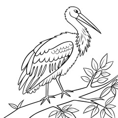 Elegant line art of a stork perched on a branch. Suitable for coloring books, nature illustrations, wildlife designs, and educational materials featuring birds and forest animals.