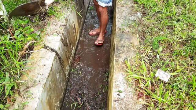 Indonesian Man Cleaning Drain Using Shovel