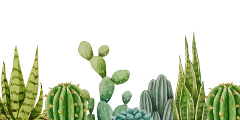 Banner cacti and succulents. Watercolor illustration. White background. For design, backgrounds