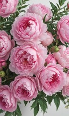 Naklejka premium Vibrant pink peonies and roses bouquet, white backdrop, wedding, fresh