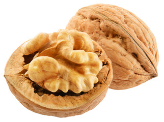 Walnut isolated png. Unpeeled walnut with a half on white or transparent background. Perfect retouched two walnuts no background. Side view nut. Full depth of field.