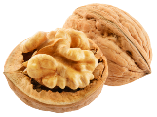Walnut isolated png. Unpeeled walnut with a half on white or transparent background. Perfect retouched two walnuts no background. Side view nut. Full depth of field.