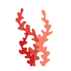 Brown algae. Underwater flora, plant. Flat illustration aquarium, oceanic or riverine seaweed on white background.