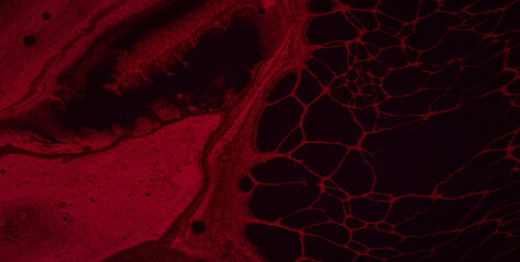 Marbleized Textures: Luxurious Oil-Painted Magic for High-End Brands