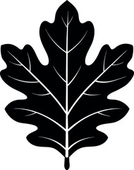 Obraz premium Oak Leaf Silhouette Vector – Simple Black Nature Element