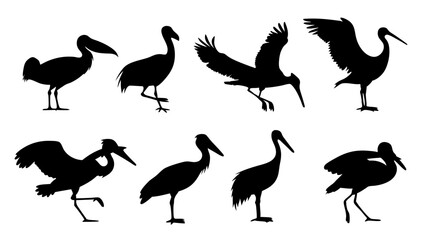 set of water birds silhouette vector on tranparent background