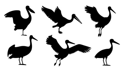 set of water birds silhouette vector on tranparent background