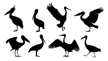 set of water birds silhouette vector on tranparent background