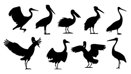 set of water birds silhouette vector on tranparent background
