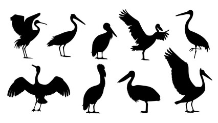 set of water birds silhouette vector on tranparent background